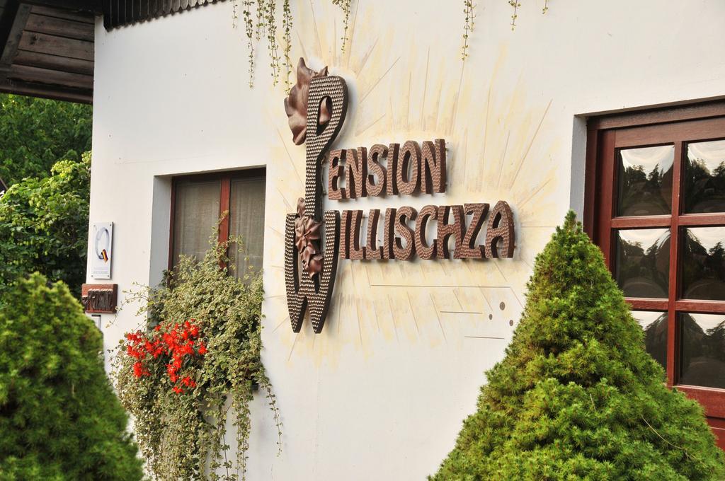 Pension Willischza Burg  Exteriör bild